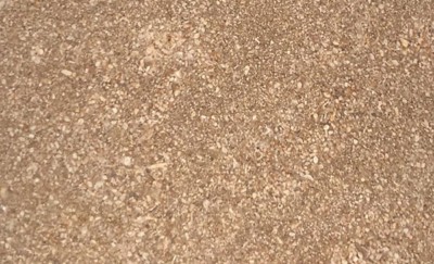 Saint Martin Belle Roche finish honed